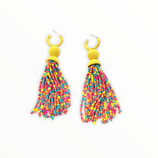 $29 Dollar Earrings